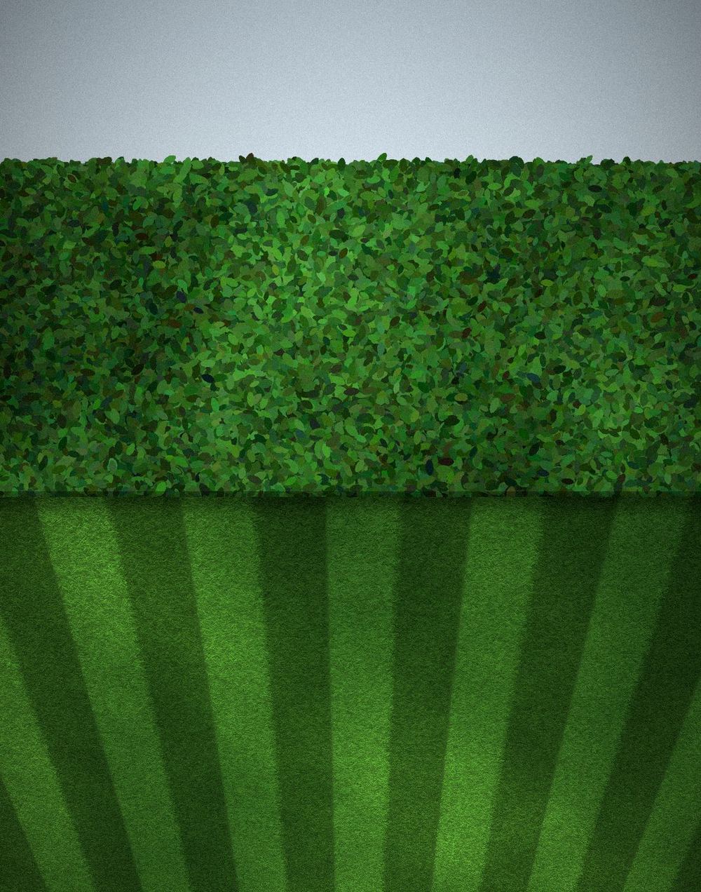 Striped lawn leading up to a trimmed hedge row