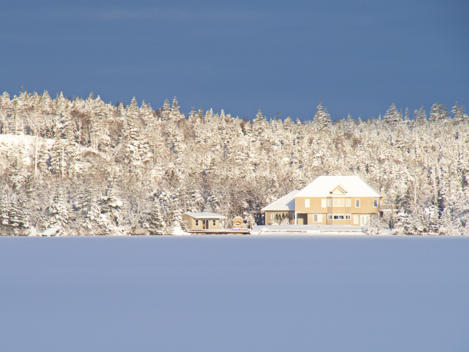 Home and trees covered in fresh snow