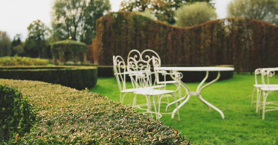 Neatly trimmed hedges around a green lawn