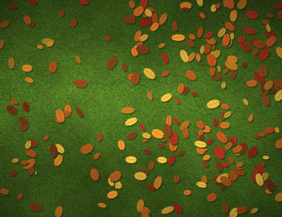 Autumn leaves scattered across a lawn
