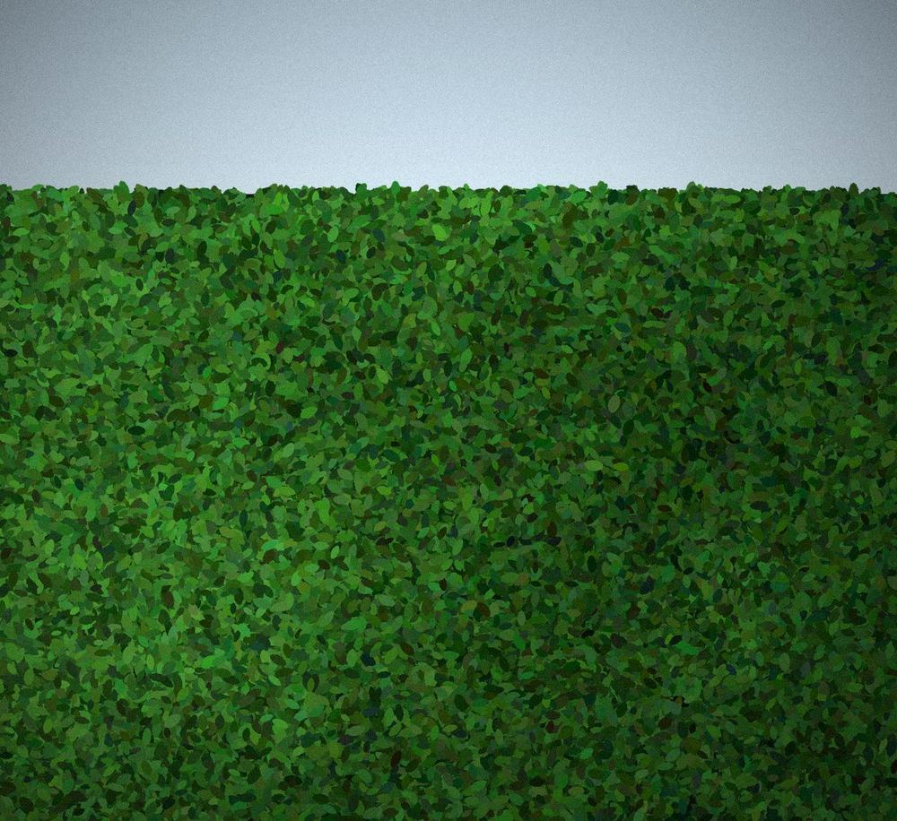 Neatly trimmed hedge with a flat, even top